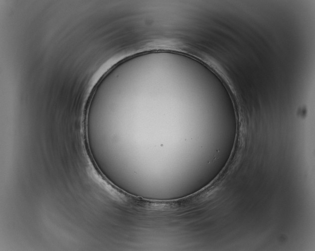 X0000115631339200911241638