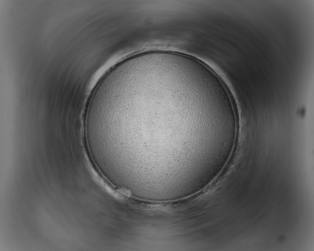 X0000115631341200911241638