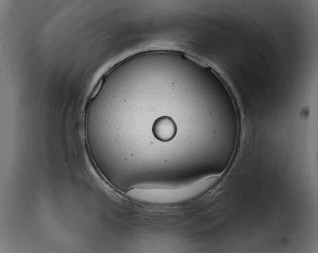 X0000115631342200911241638