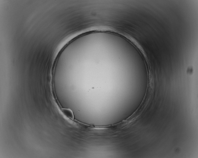 X0000115631343200911241638