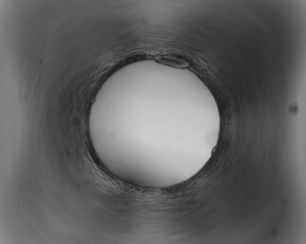 X0000115631345200911241638