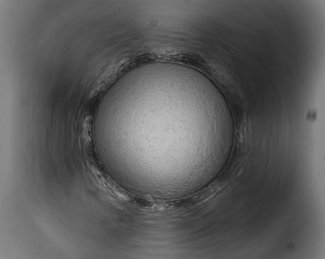 X0000115631346200911241637