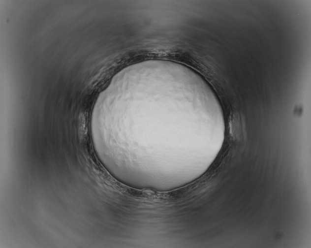 X0000115631347200911241637