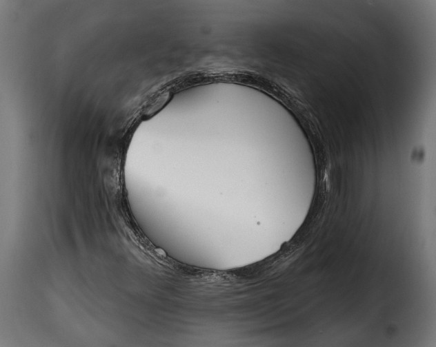 X0000115631348200911241637