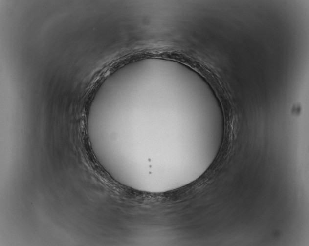 X0000115631349200911241637