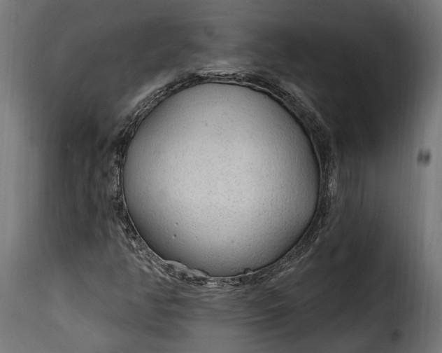 X0000115631350200911241637