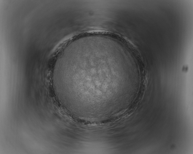 X0000115631351200911241637