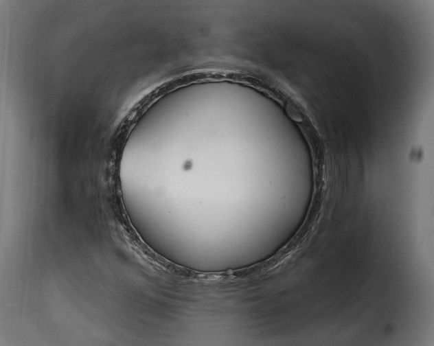 X0000115631352200911241637