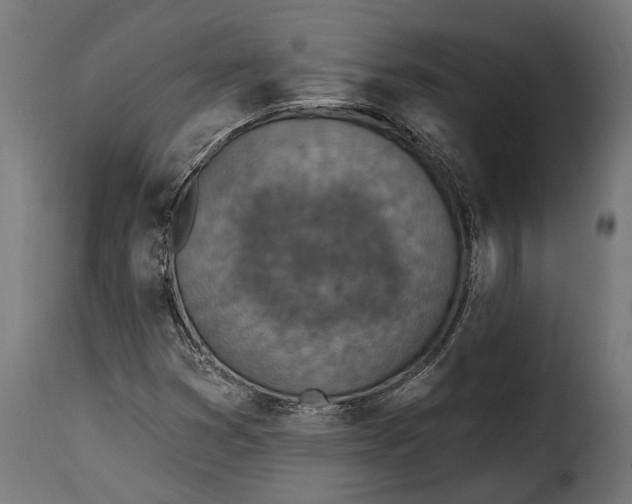 X0000115631353200911241637