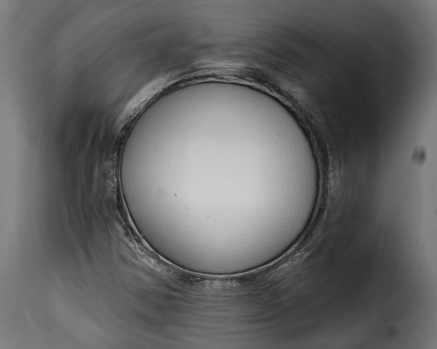 X0000115631354200911241637