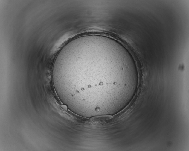 X0000115631355200911241637