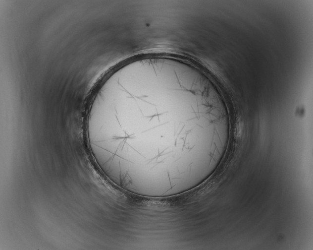 X0000115631356200911241637