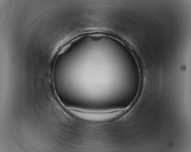 X0000115631357200911241637