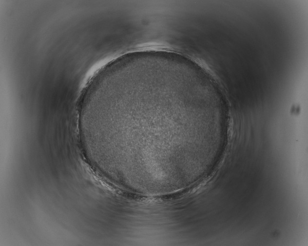 X0000115631358200911241637