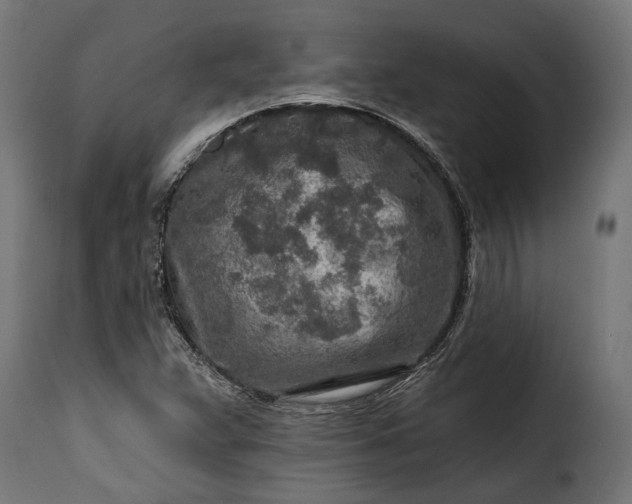 X0000115631359200911241637