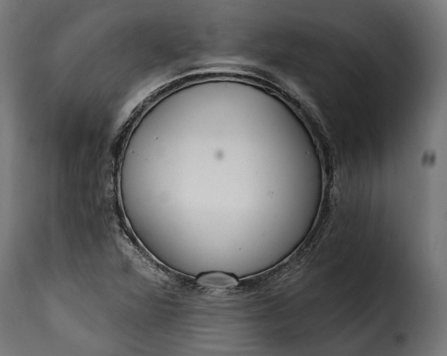 X0000115631360200911241637