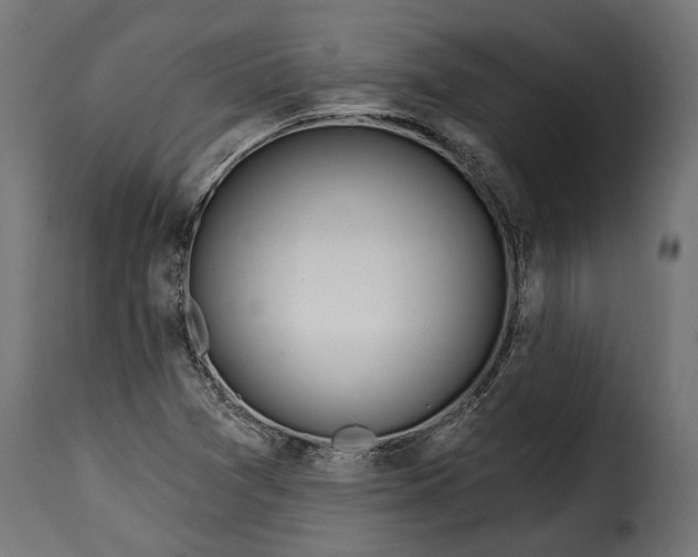 X0000115631361200911241637