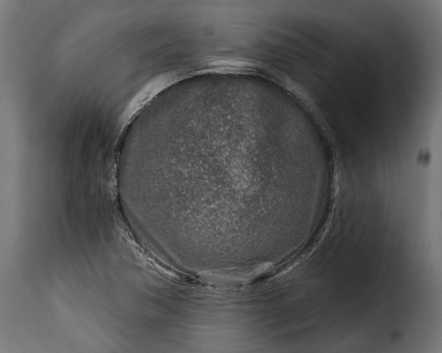 X0000115631362200911241637