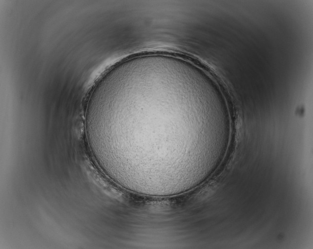 X0000115631363200911241637