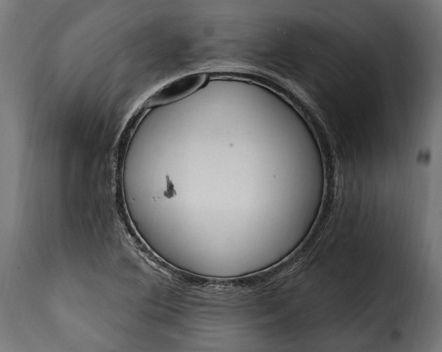 X0000115631364200911241637