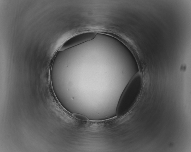 X0000115631365200911241637