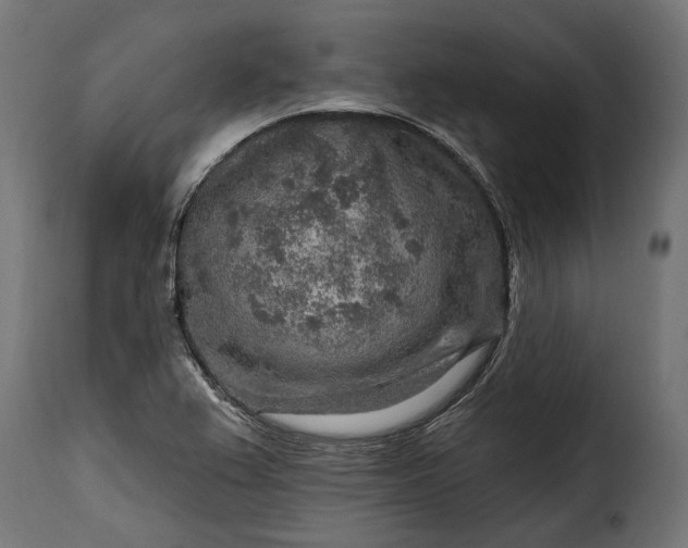 X0000115631367200911241637