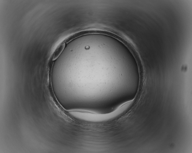 X0000115631368200911241637