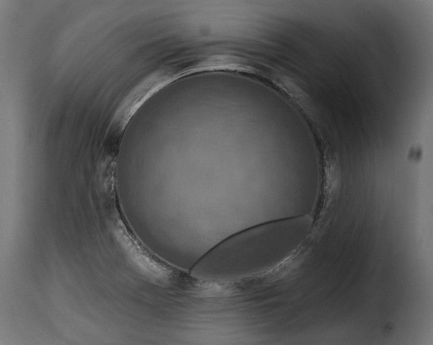 X0000115631369200911241637