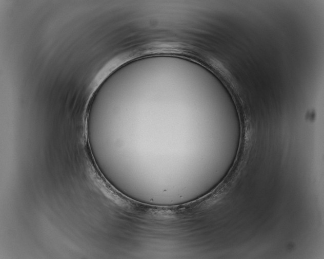 X0000115631370200911241637