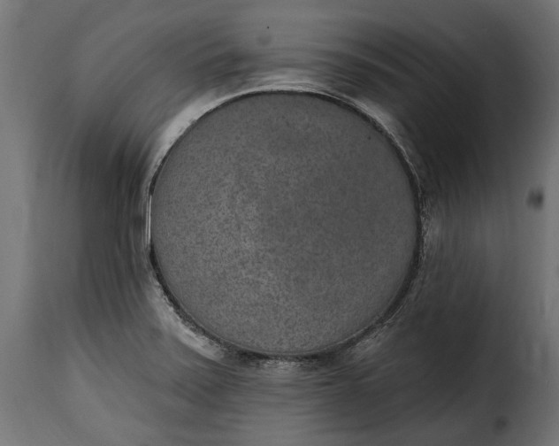 X0000115631371200911241637