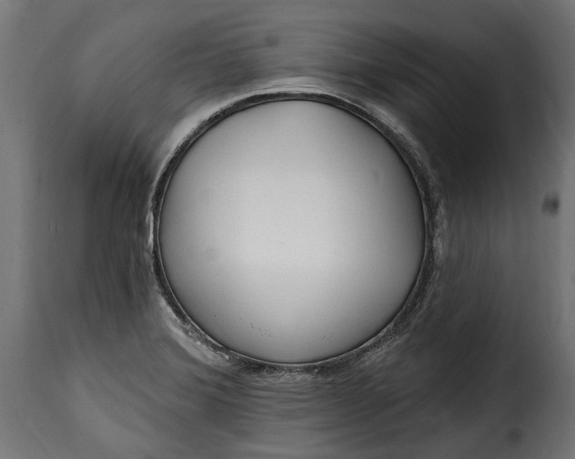 X0000115631372200911241637