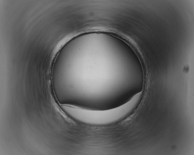 X0000115631373200911241637