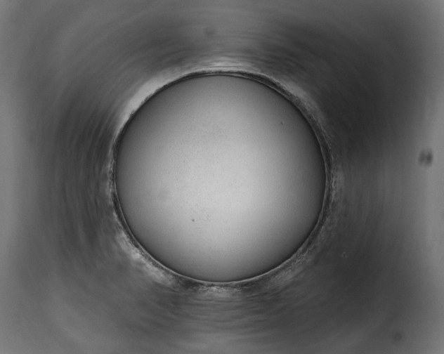 X0000115631374200911241637