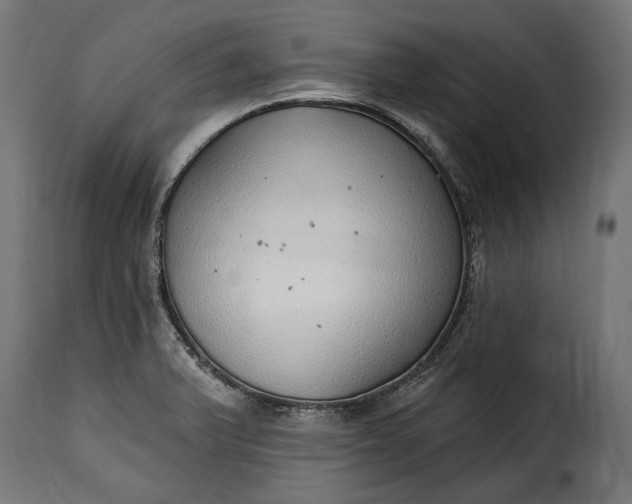 X0000115631375200911241637