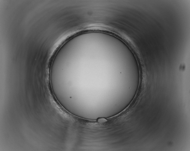 X0000115631376200911241637