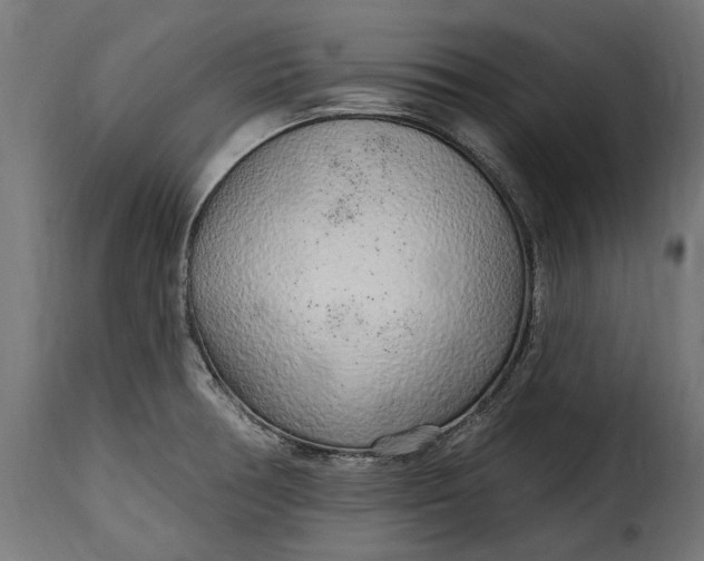 X0000115631378200911241637