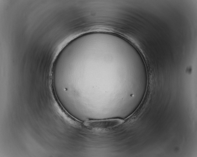 X0000115631379200911241637