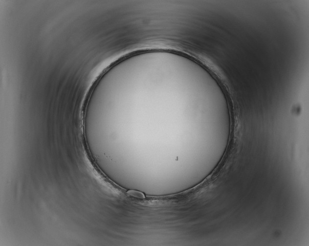 X0000115631380200911241637