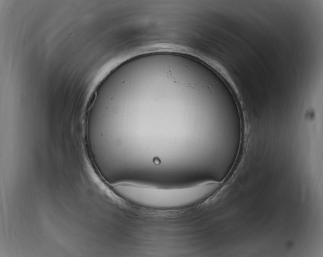 X0000115631381200911241637