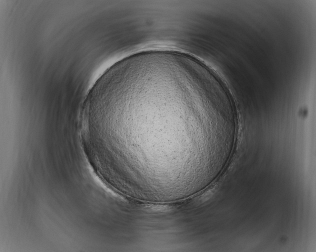 X0000115631382200911241637