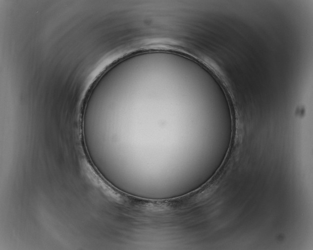 X0000115631384200911241637