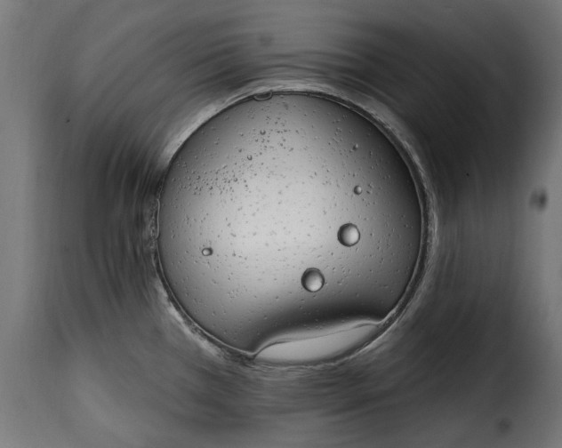 X0000115631385200911241637