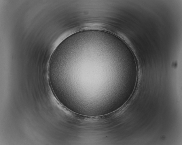 X0000115631386200911241637