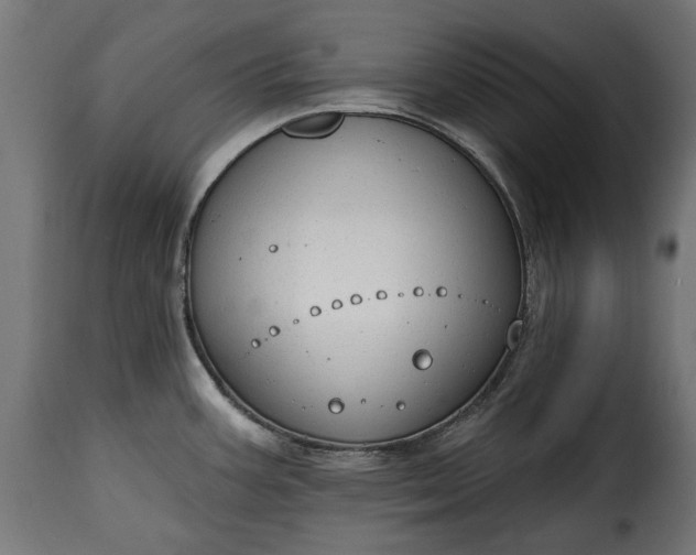 X0000115631387200911241637