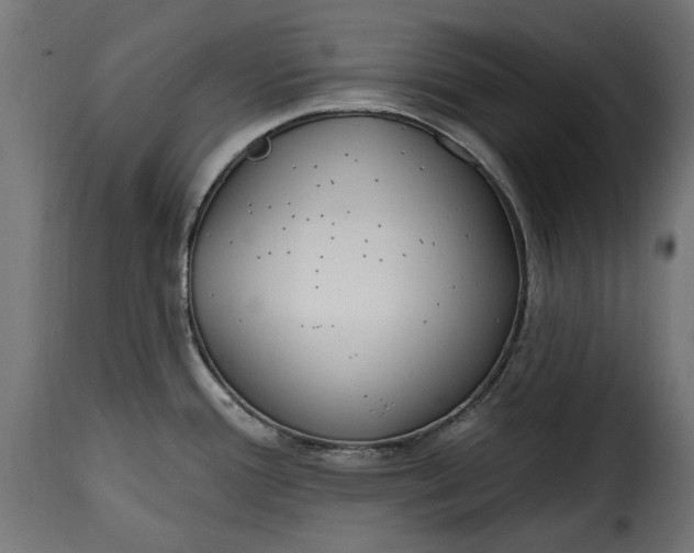 X0000115631388200911241637