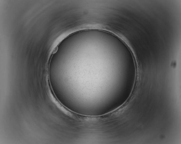 X0000115631389200911241637