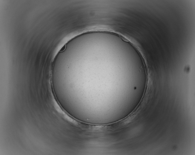 X0000115631390200911241637