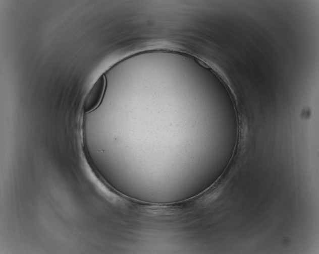 X0000115631391200911241637