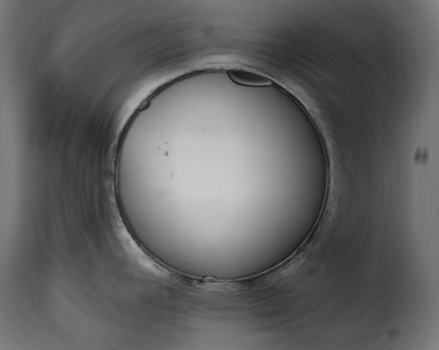 X0000115631392200911241637