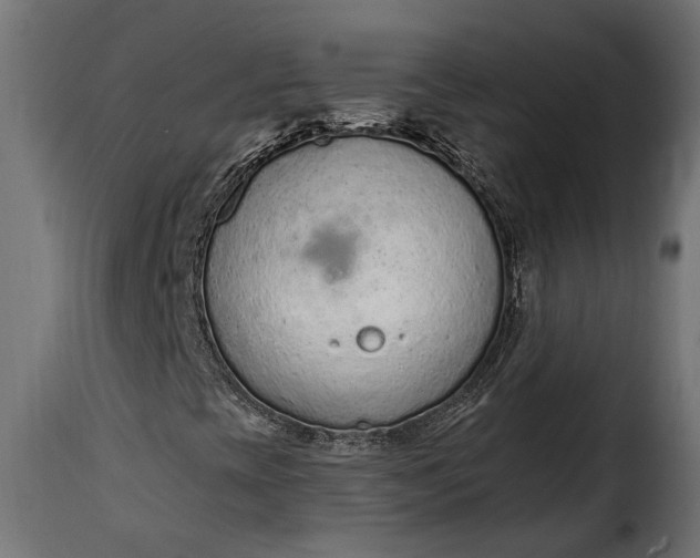 X0000115631393200911241636